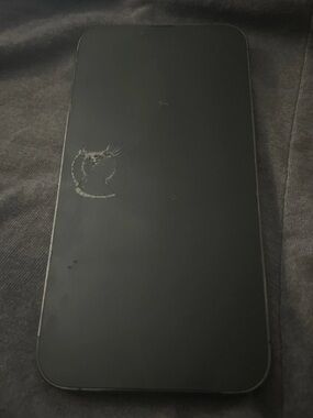 Original iPhone 13 Pro Max OLED Screen